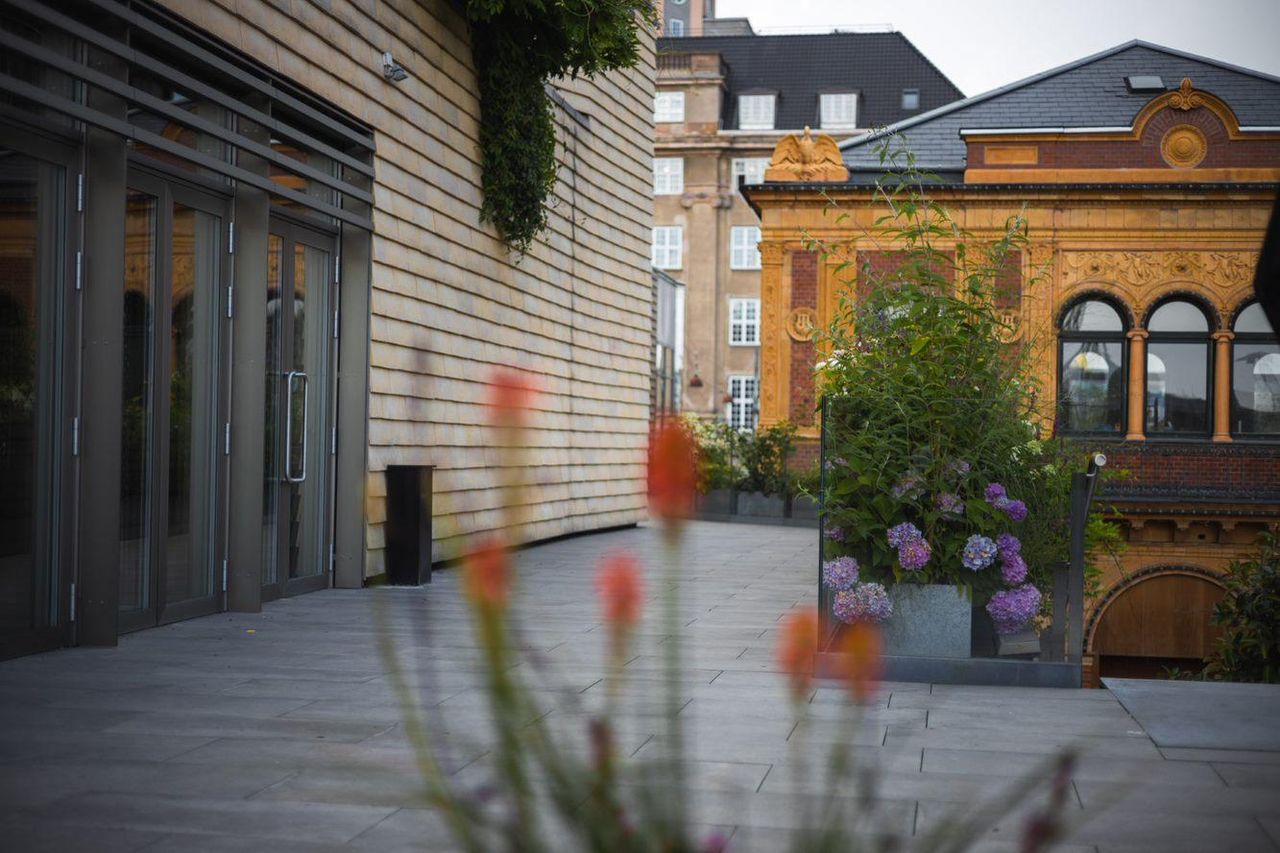 Rest of the World   Astralis Nexus image 31