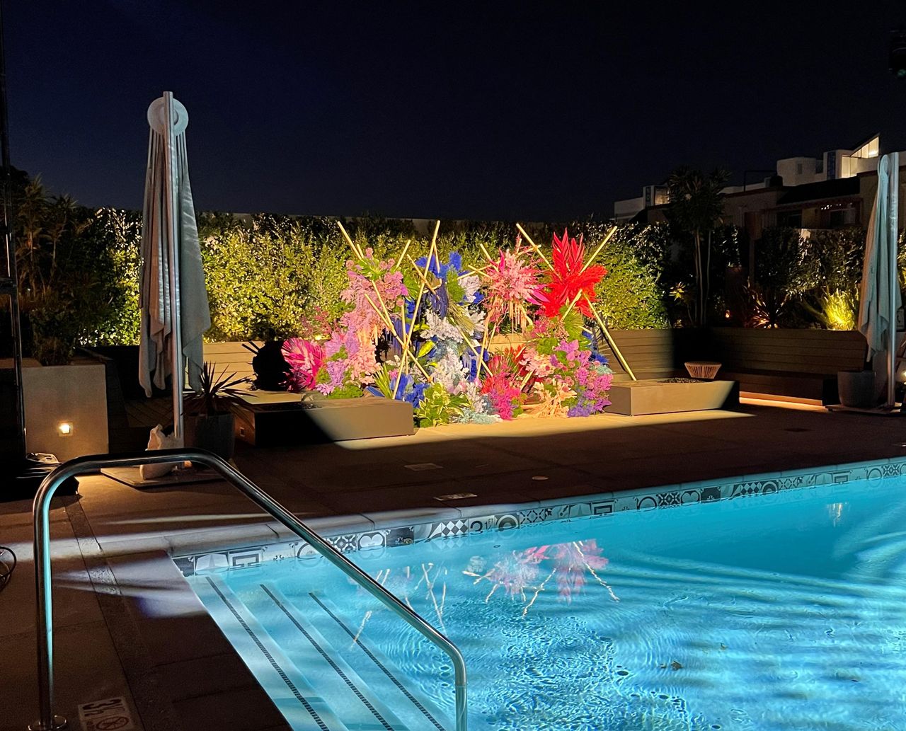 Rest of the World    image 7