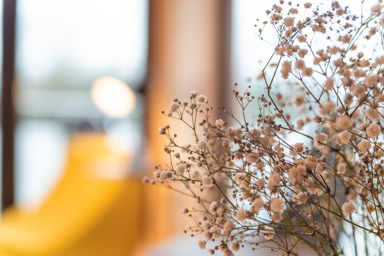 Hamburg   Hausboot OFF image 21