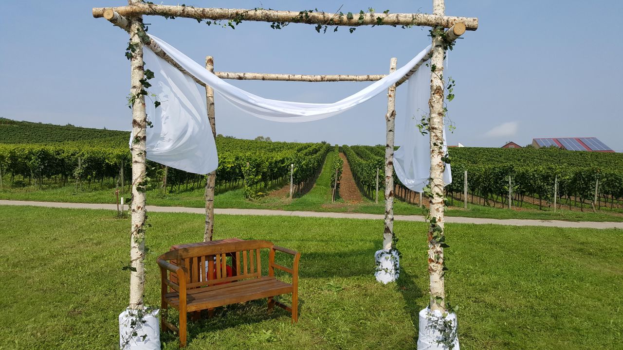 Rest of the World    image 8