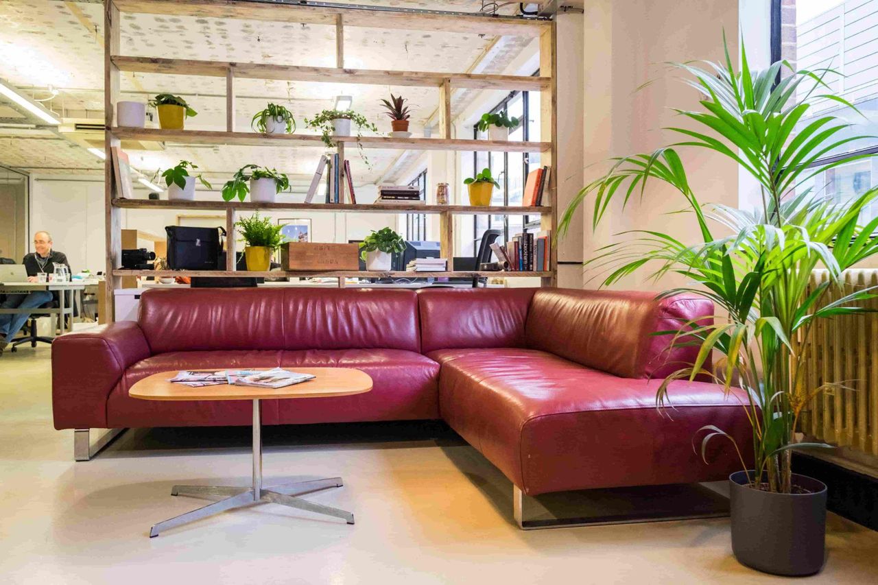 Rest of the World    image 5