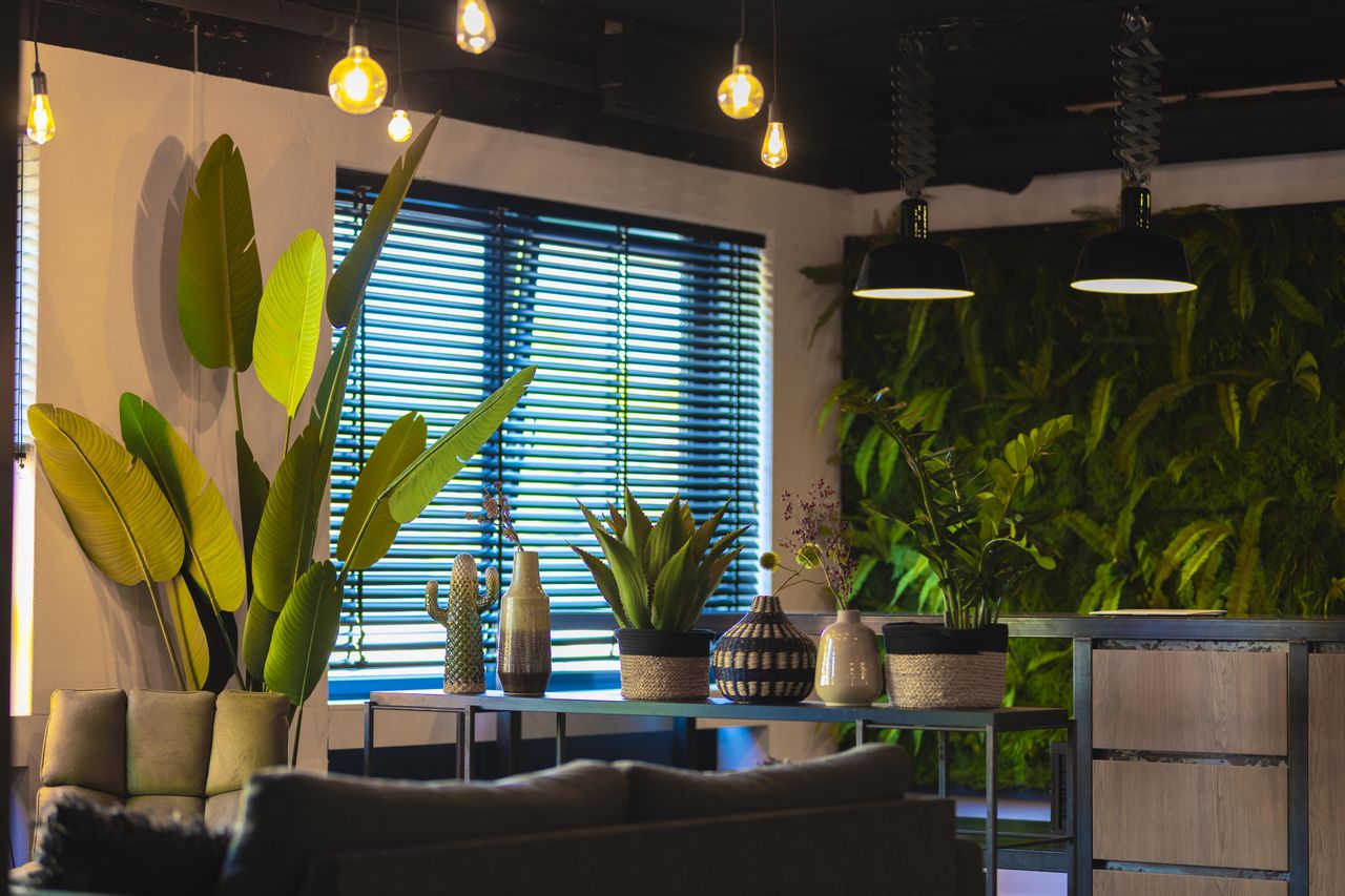 Rest of the World   Campus Dreesz Brugstraat image 1