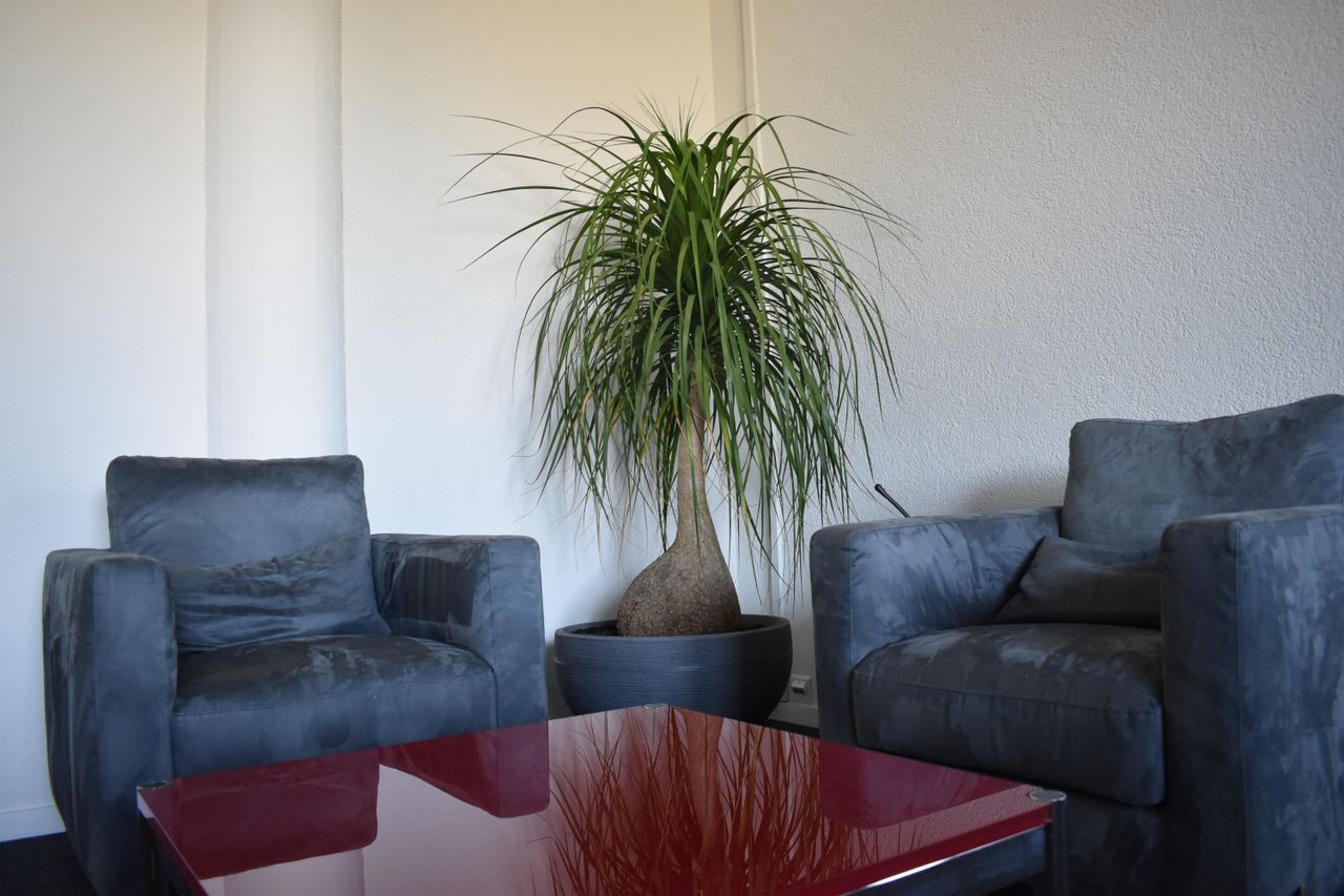 Solothurn Kunden-Meeting Meetingraum Z-Factory image 2