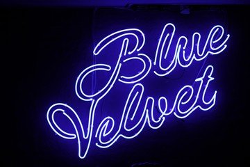Copenhague corporate event venues Salle de réception Blue Velvet image 0