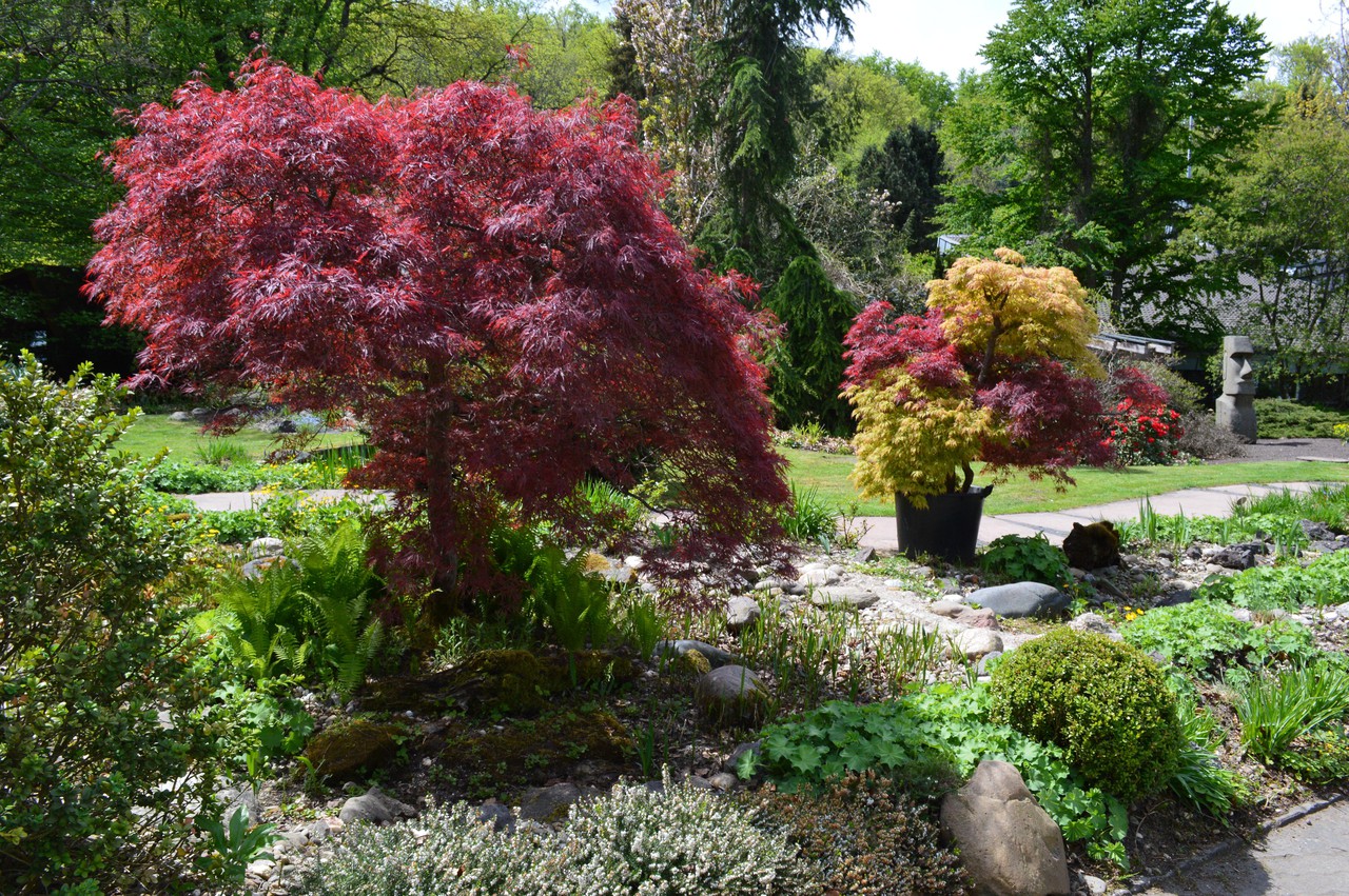 Kriesten Garten Leonberg Book Venue Online